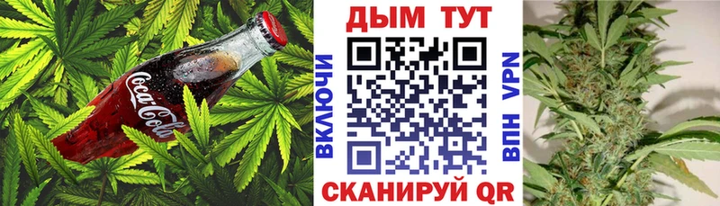 Canna-Cookies конопля  закладки  Подпорожье 