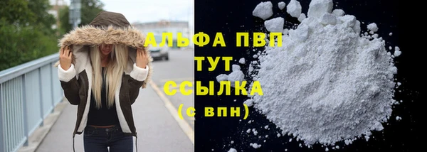 прущие крисы Верея