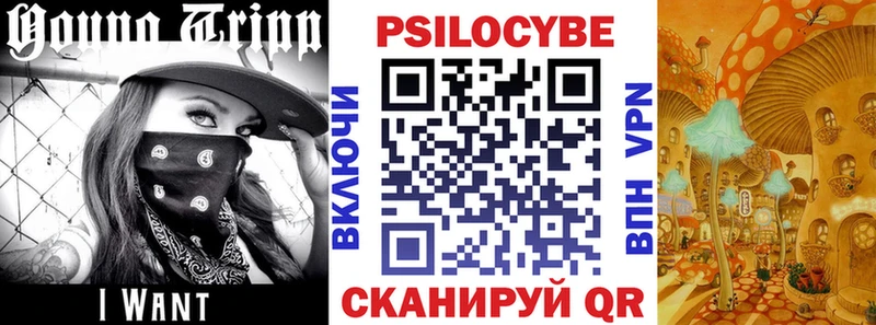 Галлюциногенные грибы Psilocybine cubensis  Подпорожье 