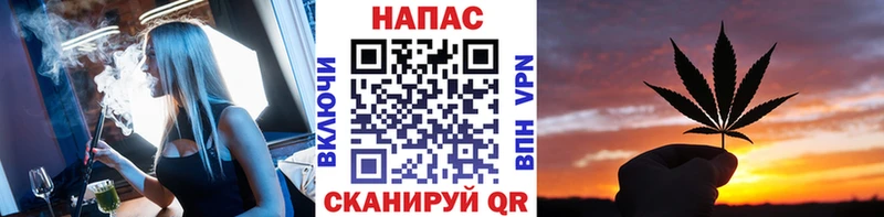 Бошки Шишки план  Подпорожье 